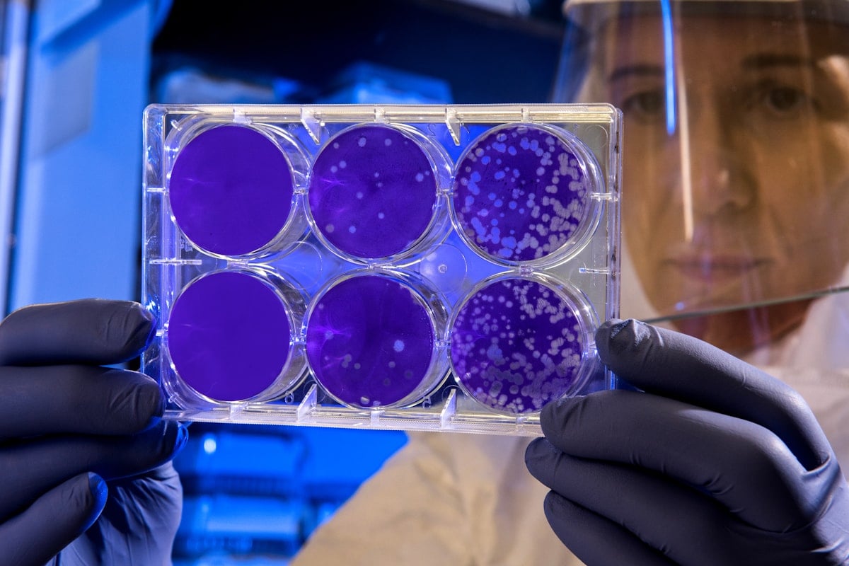 Virus artificiel sous microscope