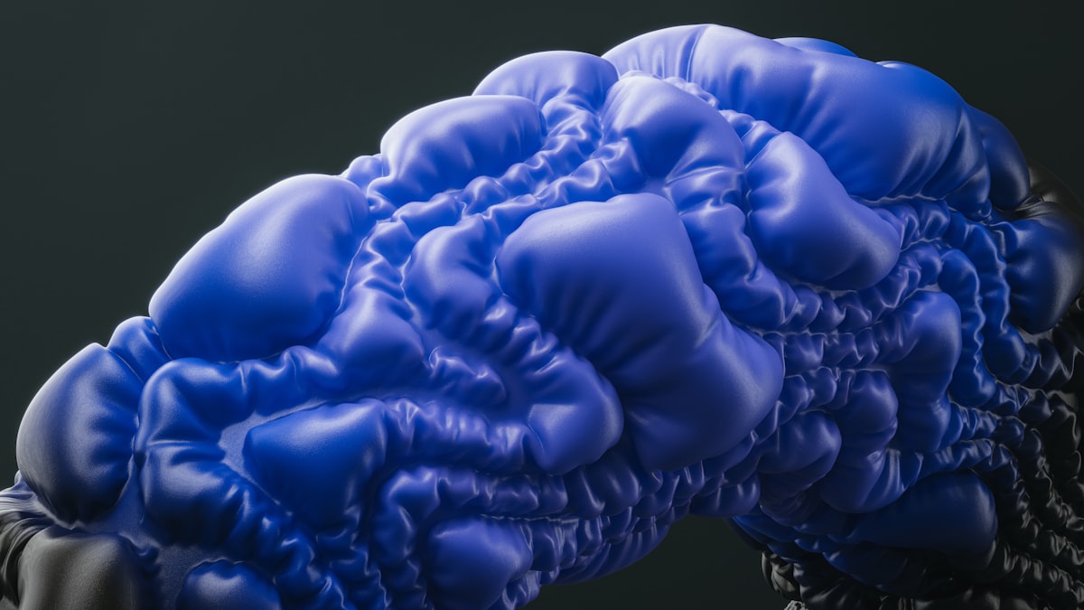 Anthropic frappe un grand coup : Opus 4.8 pulvérise les records et vise le trillion de dollars